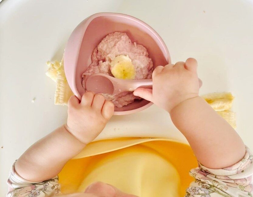 Cuddle Bug & Co bowl, with a thermomix recipe inside, being enjoyed by a toddler.