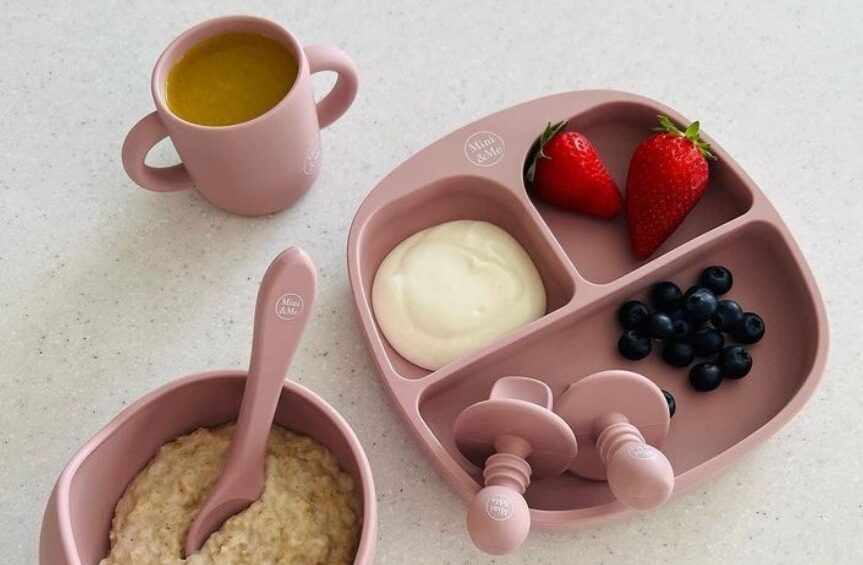 Cuddle Bug & Co baby dinnerware products with fresh food and thermomix recipes.