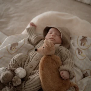 Pop Ya Tot Little Teddy Comforter Squeaky the Sweet1 Pop Ya Tot Little Teddy Comforter Squeaky the Sweet