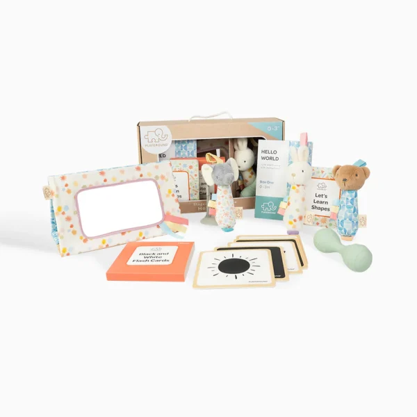 Hello World Toys Playground Play Box Hello World | Perth | Babyroad