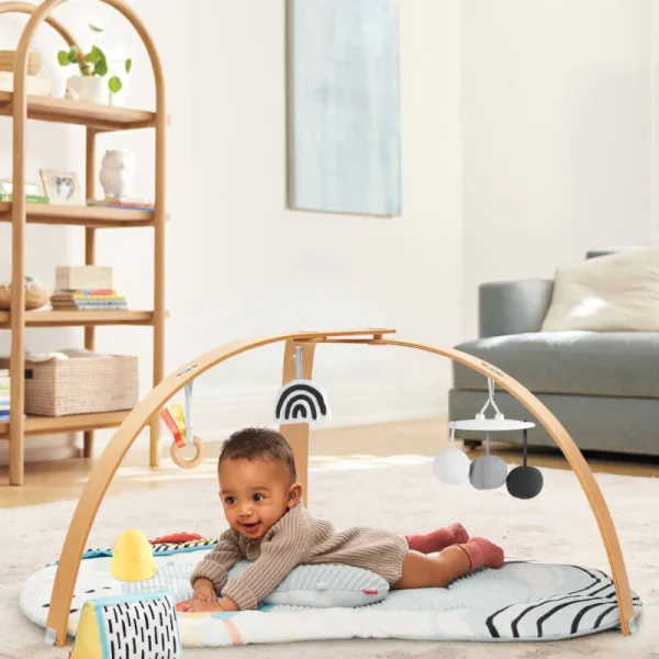 Skip Hop Discoverosity Deluxe Activity Gym | Babyroad